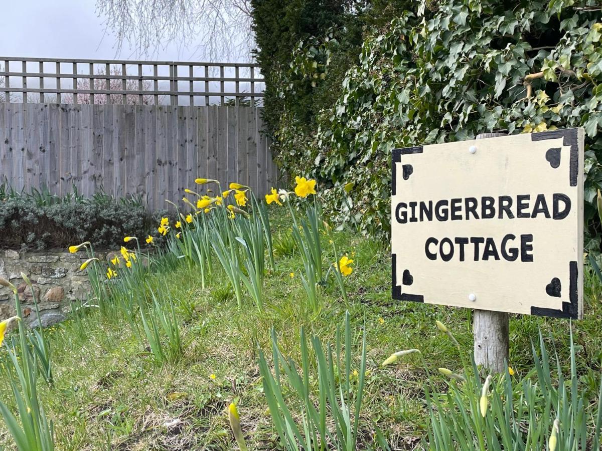 Gingerbread Cottage Chideock Exteriér fotografie
